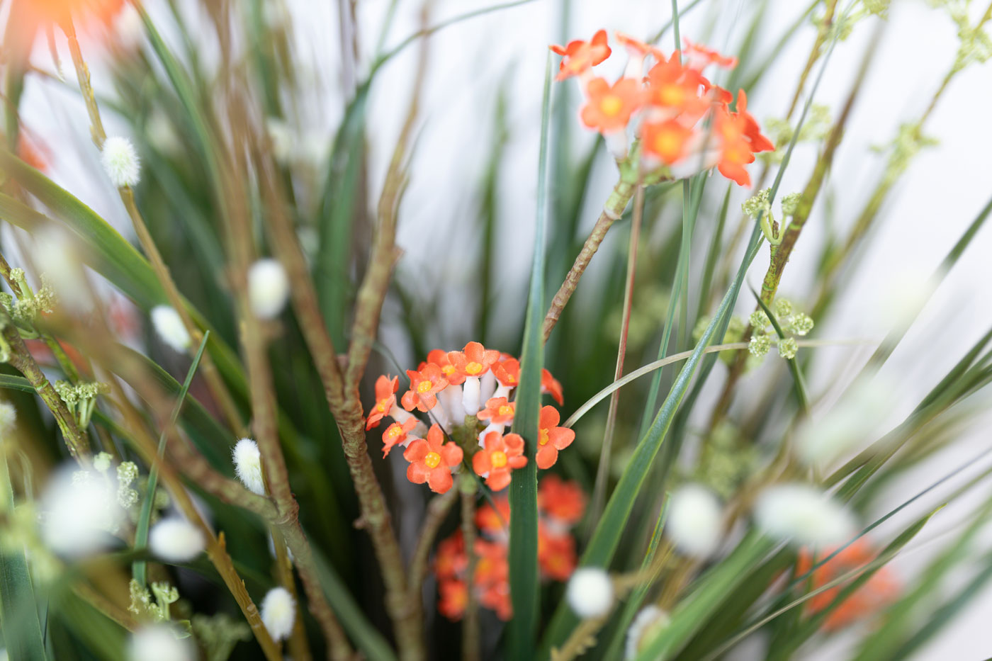 blumen-bild-83-von-203-1400
